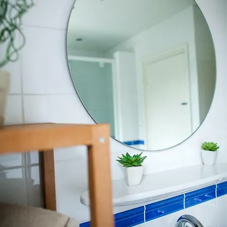 De Plenkert 4* 팔켄뷔르흐안더횔